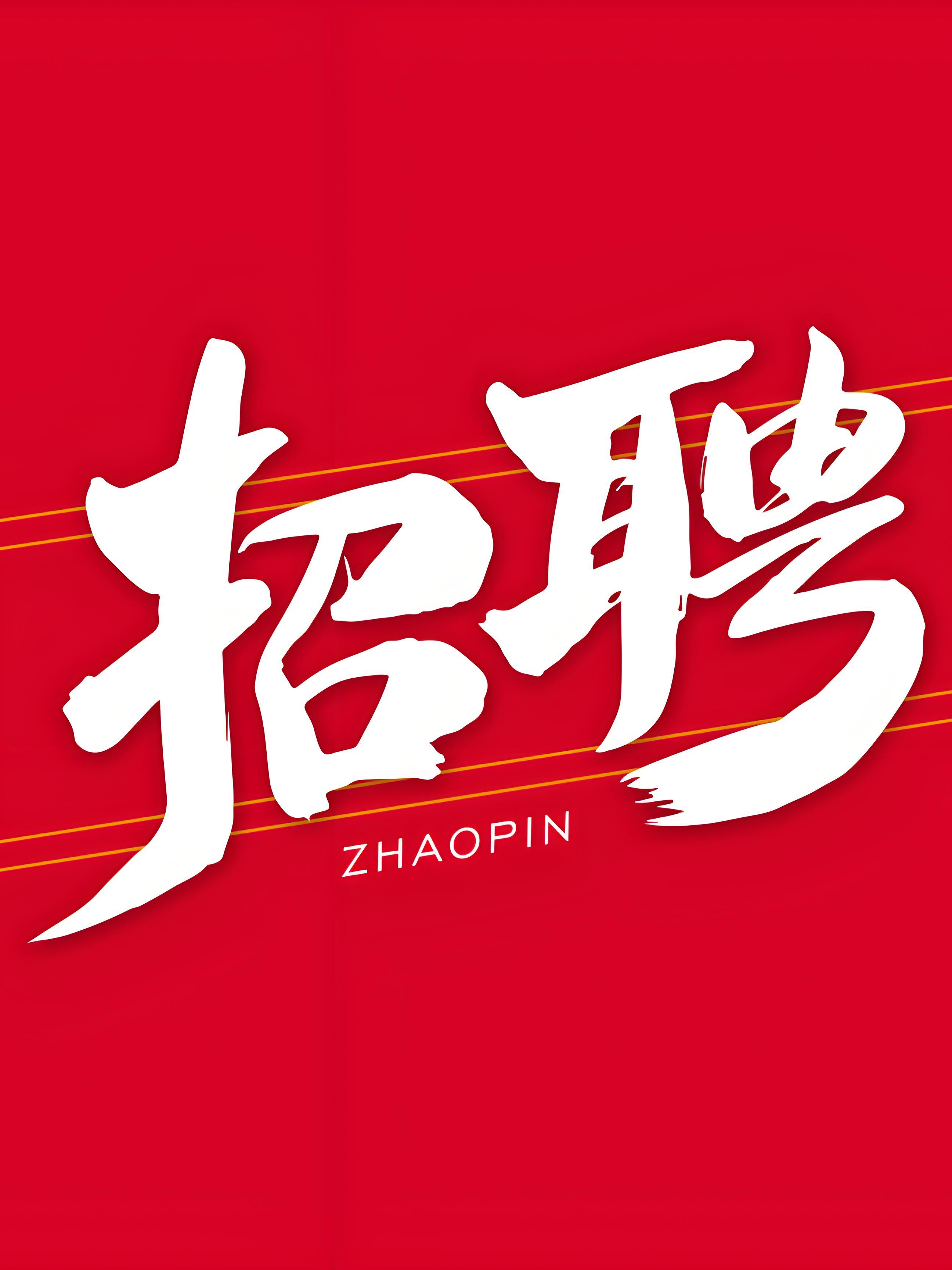 安徽省水電有限責(zé)任公司2025年度第二次公開(kāi)招...